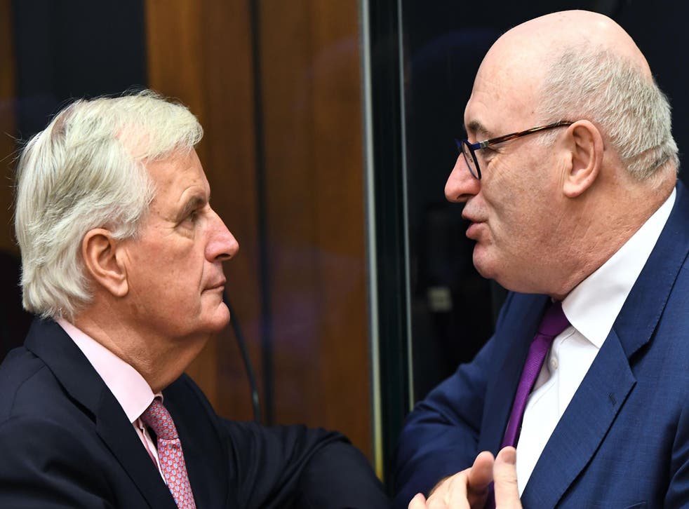 EU chief Brexit negotiator Michel Barnier and Ireland's EU Commissioner Phil Hogan