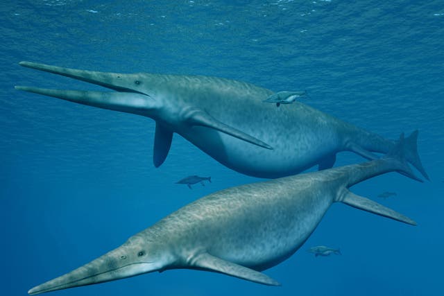 Shonisaurus, an enormous sea reptile very similar to the newly discovered creature