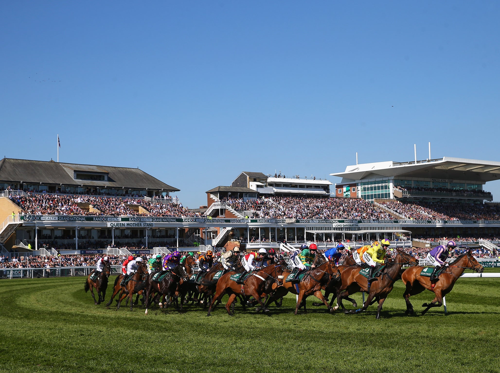 Who will win the Grand National this year?