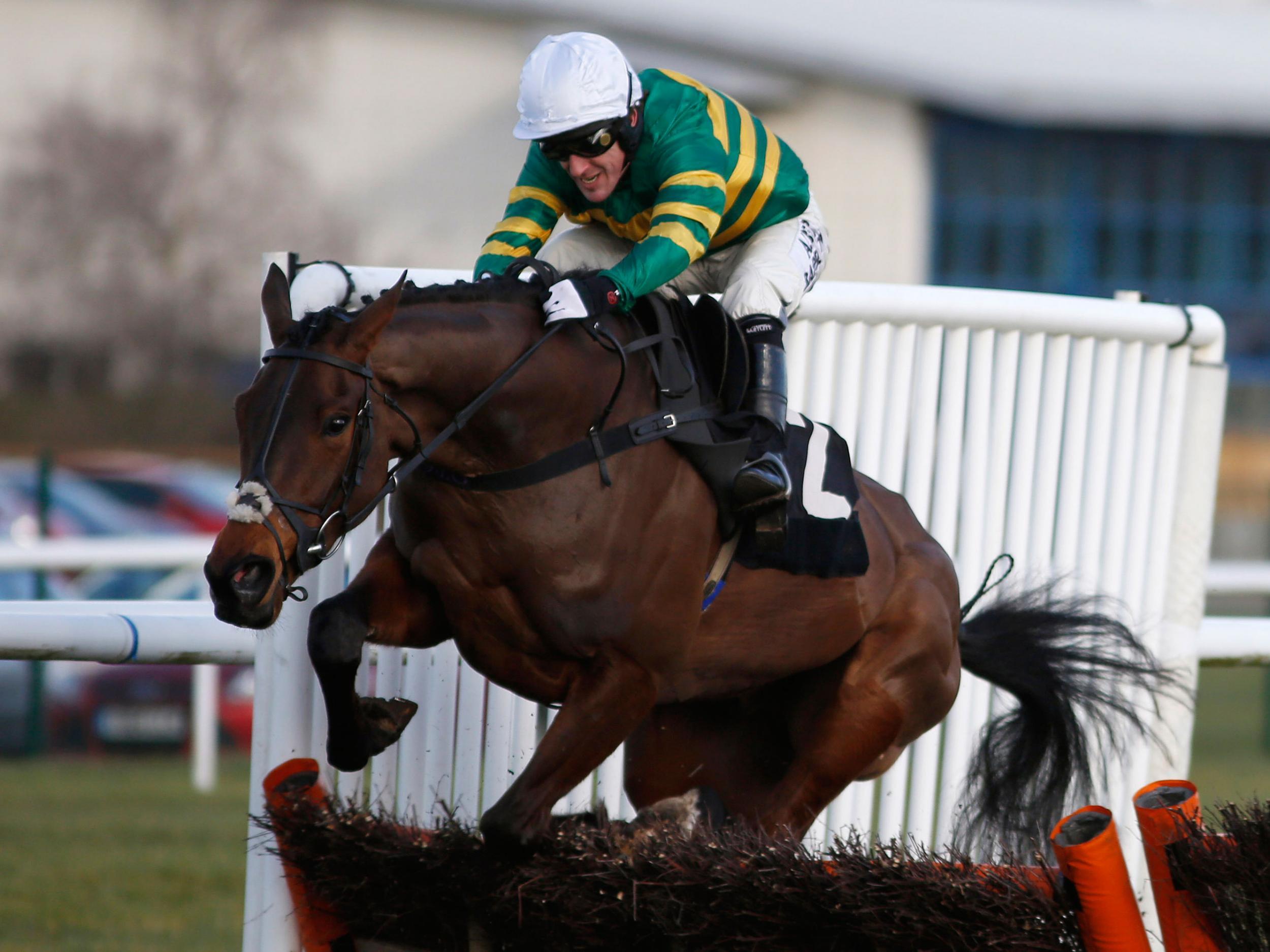 Minella Rocco is out of the Grand National