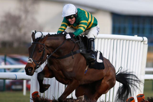 Minella Rocco is out of the Grand National