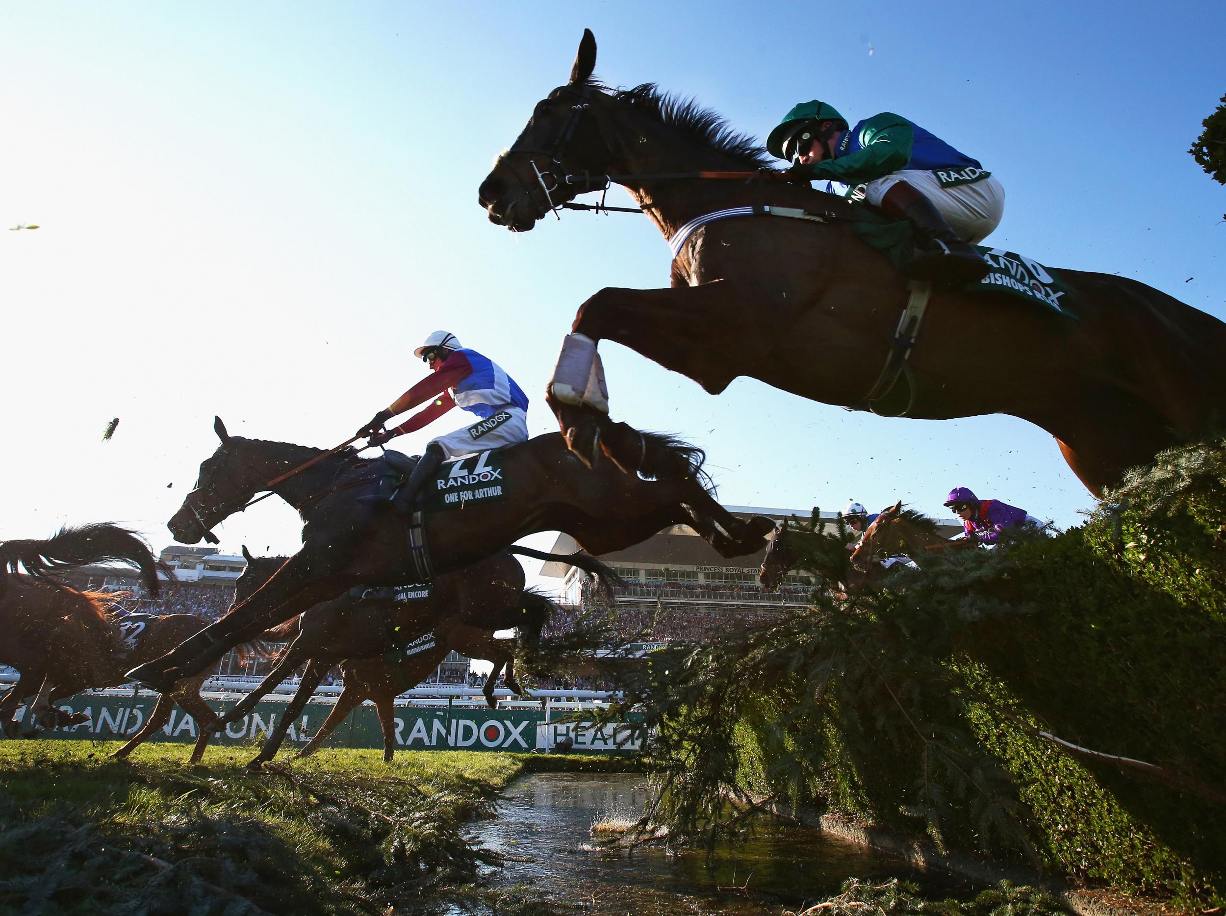 Who will win the Grand National this year?