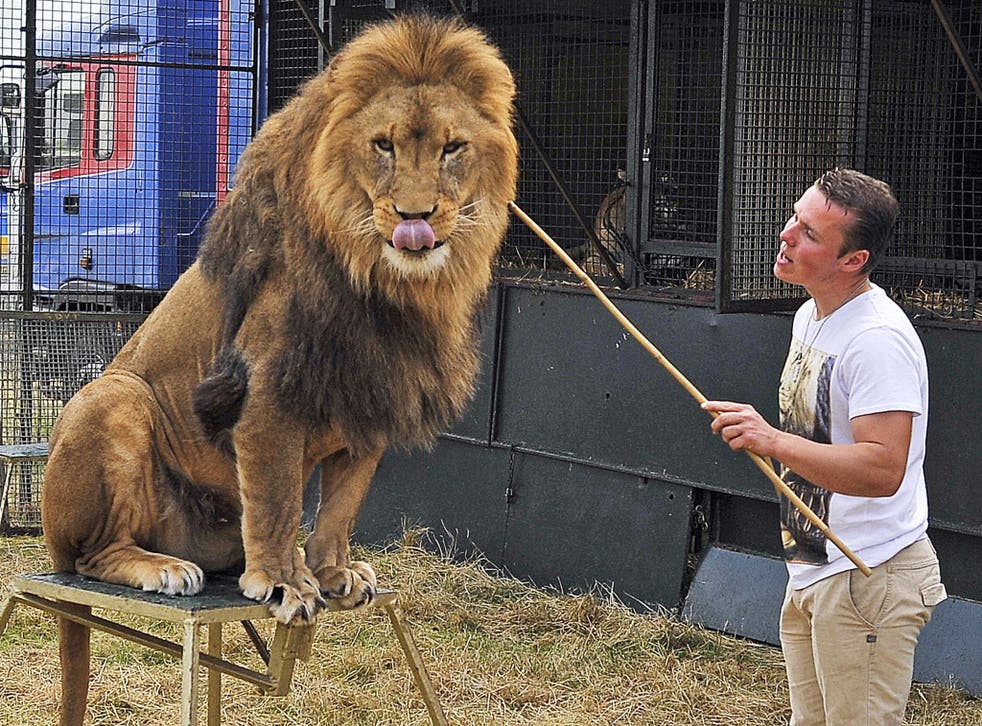 Big cat trainer Thomas Chipperfield with an African lion