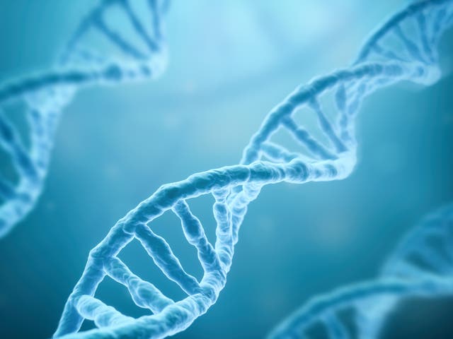 <p>Ancient DNA has revealed links between the cultures of Egypt and Mesopotamia</p>