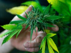 Trump says individual states can decide whether to legalise marijuana