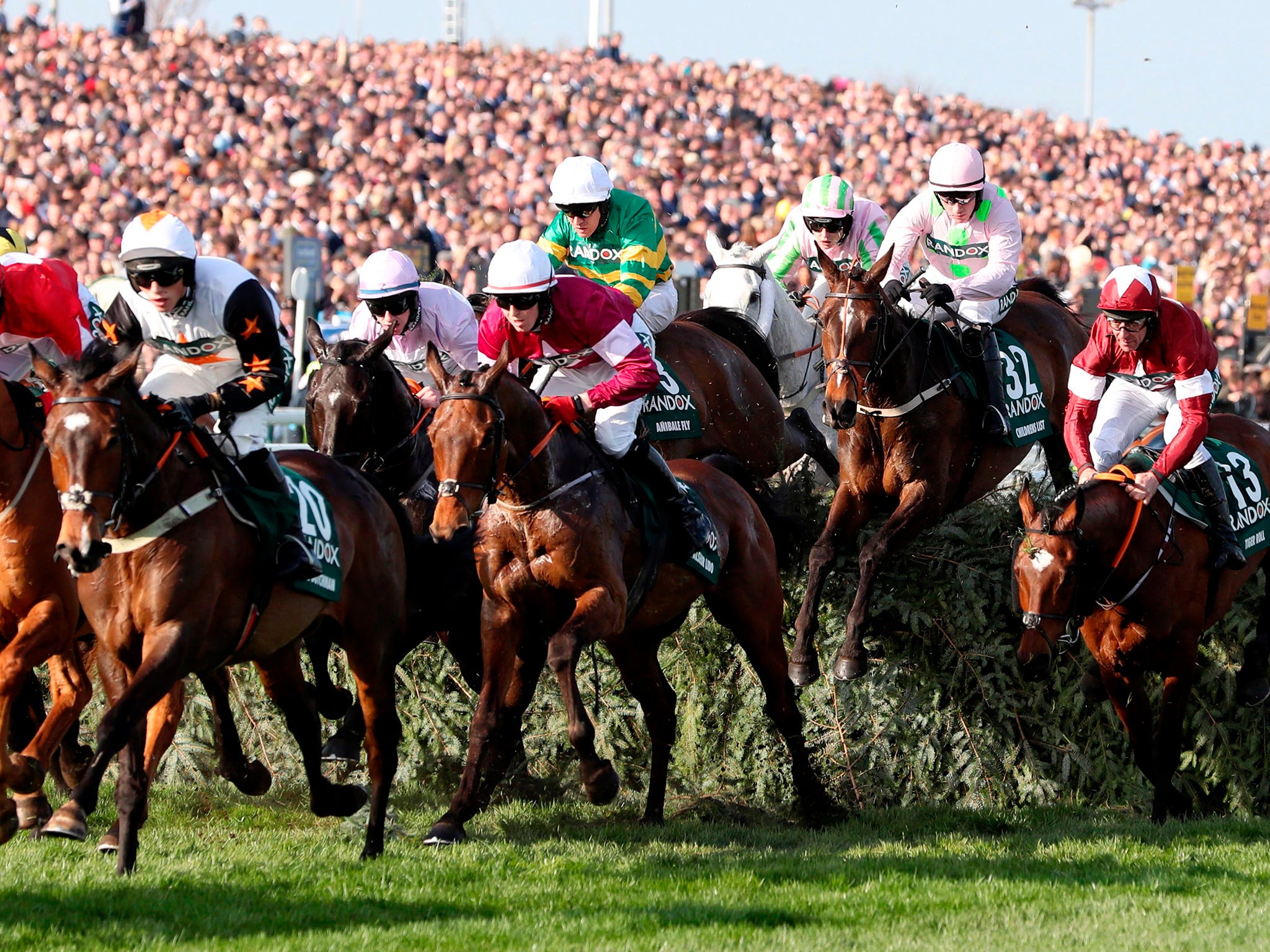 Tiger Roll emerged late to win the Grand National
