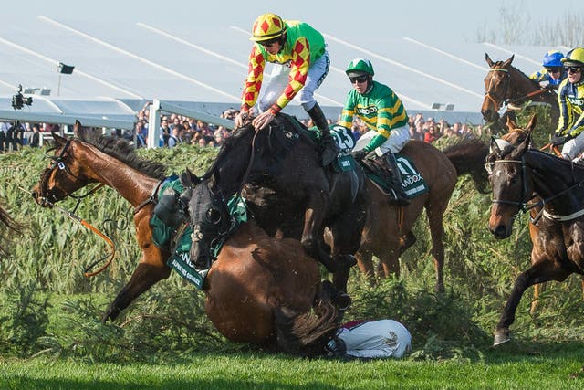 Saint Are suffered a nasty fall during the Grand National and needed treatment afterwards