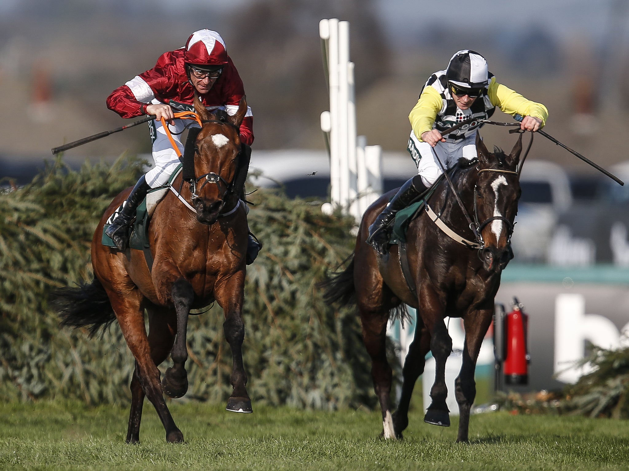 Tiger Roll (left) held off Pleasant Company (right) to take the Grand National