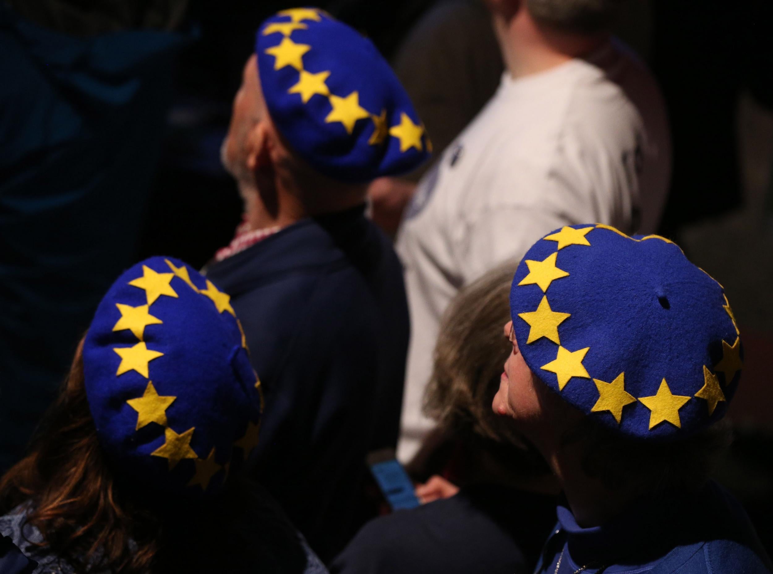 The People’s Vote campaign aims to unify different anti-Brexit groups in order to demand voters are given the final say