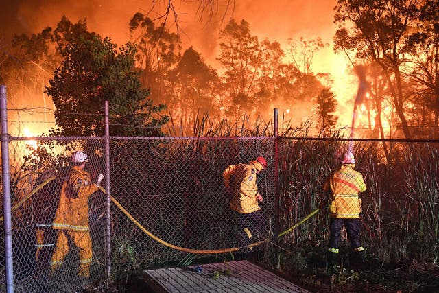 Firefighters are trying to bring a bushfire under control in southwest Sydney