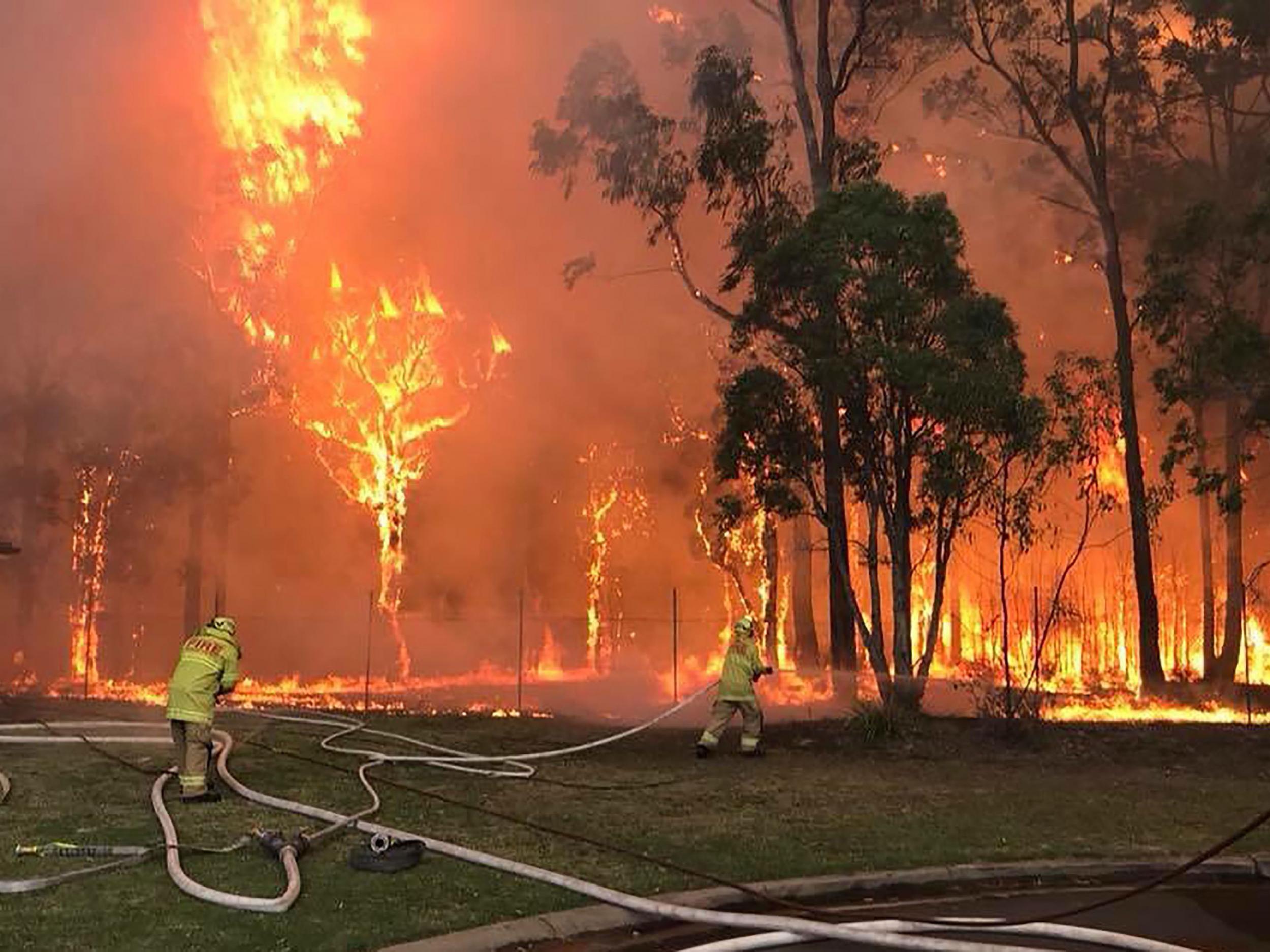Firefighters tackle a bush fire in Holdsworthy, south of Sydney on 15 April 2018