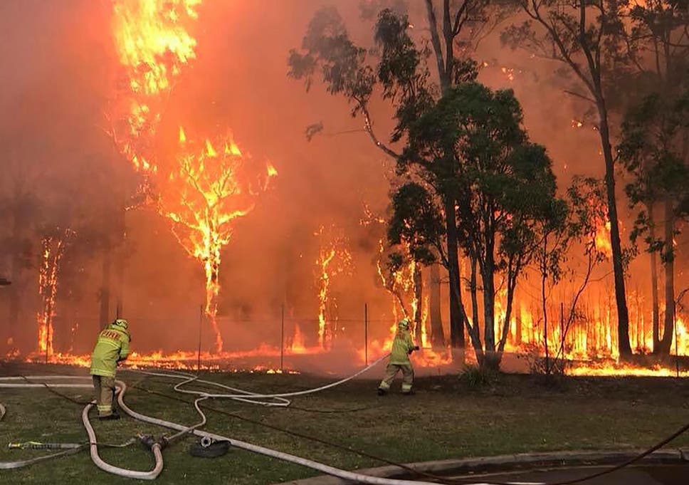 Image result for 2018  Sydney bushfireÂ  photos