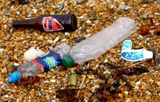 Most people still do not care about buying plastic bottles