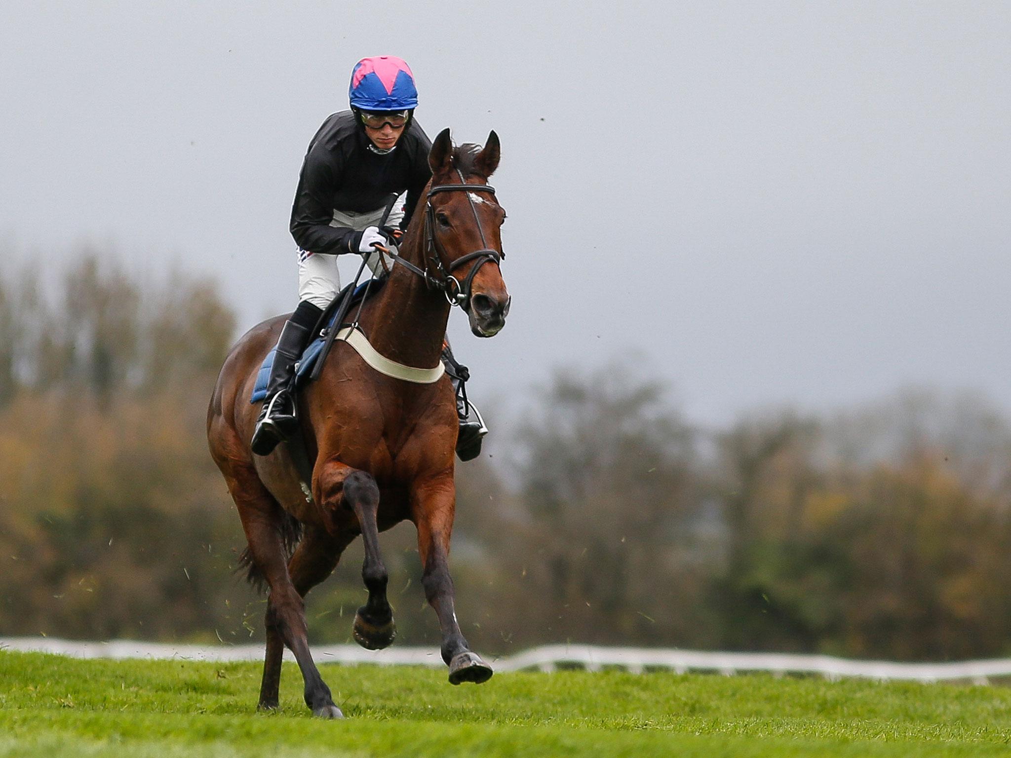 Cue Card first hit the headlines when winning the Champion Bumper at the Festival in 2010