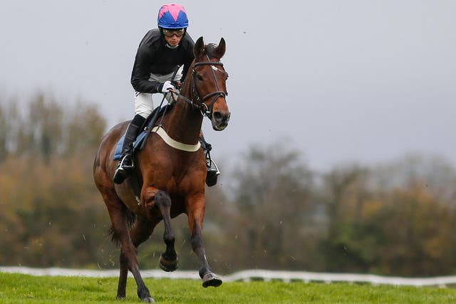 Cue Card first hit the headlines when winning the Champion Bumper at the Festival in 2010 