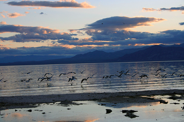 The Salton Sea is a beautiful sunset spot (Ron’s Log/Ipernity)