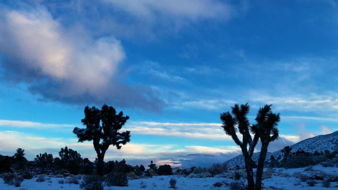 Joshua Tree is the place to switch off