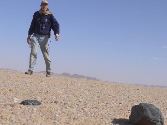 On Feb. 28, 2009, Peter Jenniskens, meteor astronomer at NASA Ames Research Center and the SETI Institute Mountain View, Calif., found his first 2008TC3 meteorite, which broke into two pieces when it landed
