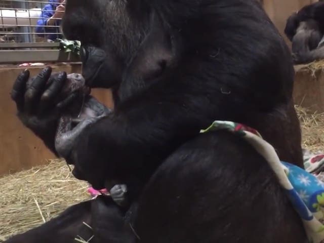 Calaya kisses her newborn son Moke seconds after he was born.
