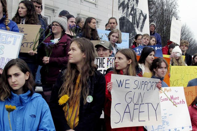Protesters in Vermont during the gun control debate