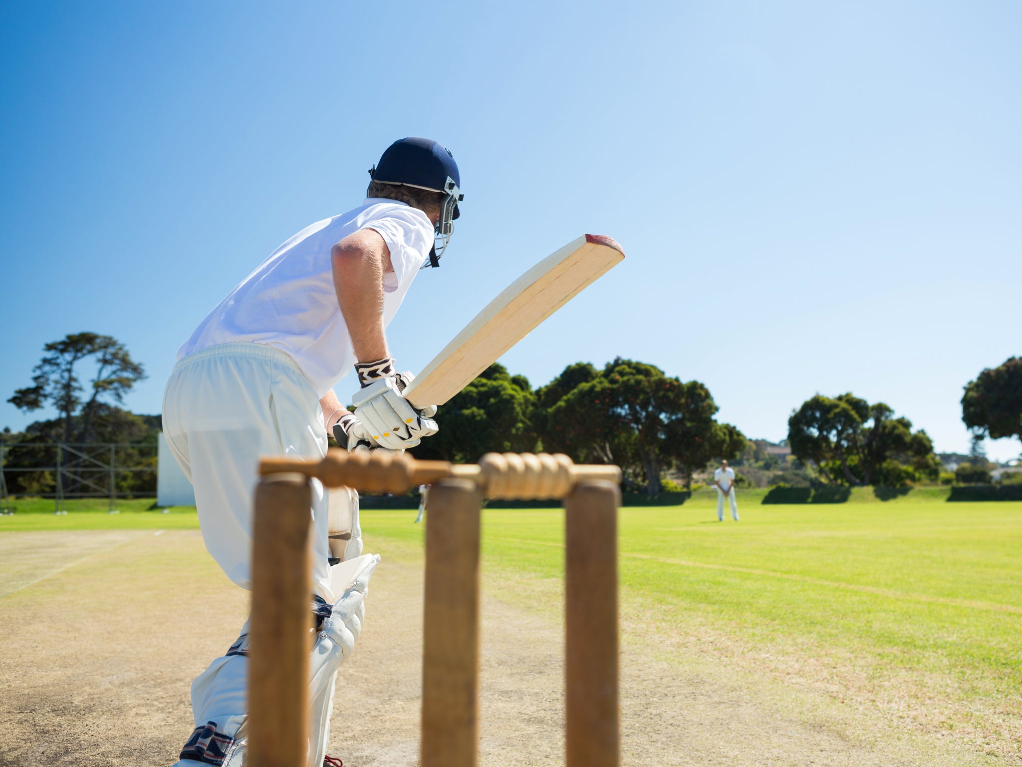 New Cricket Jersey Models Cricket Equipment