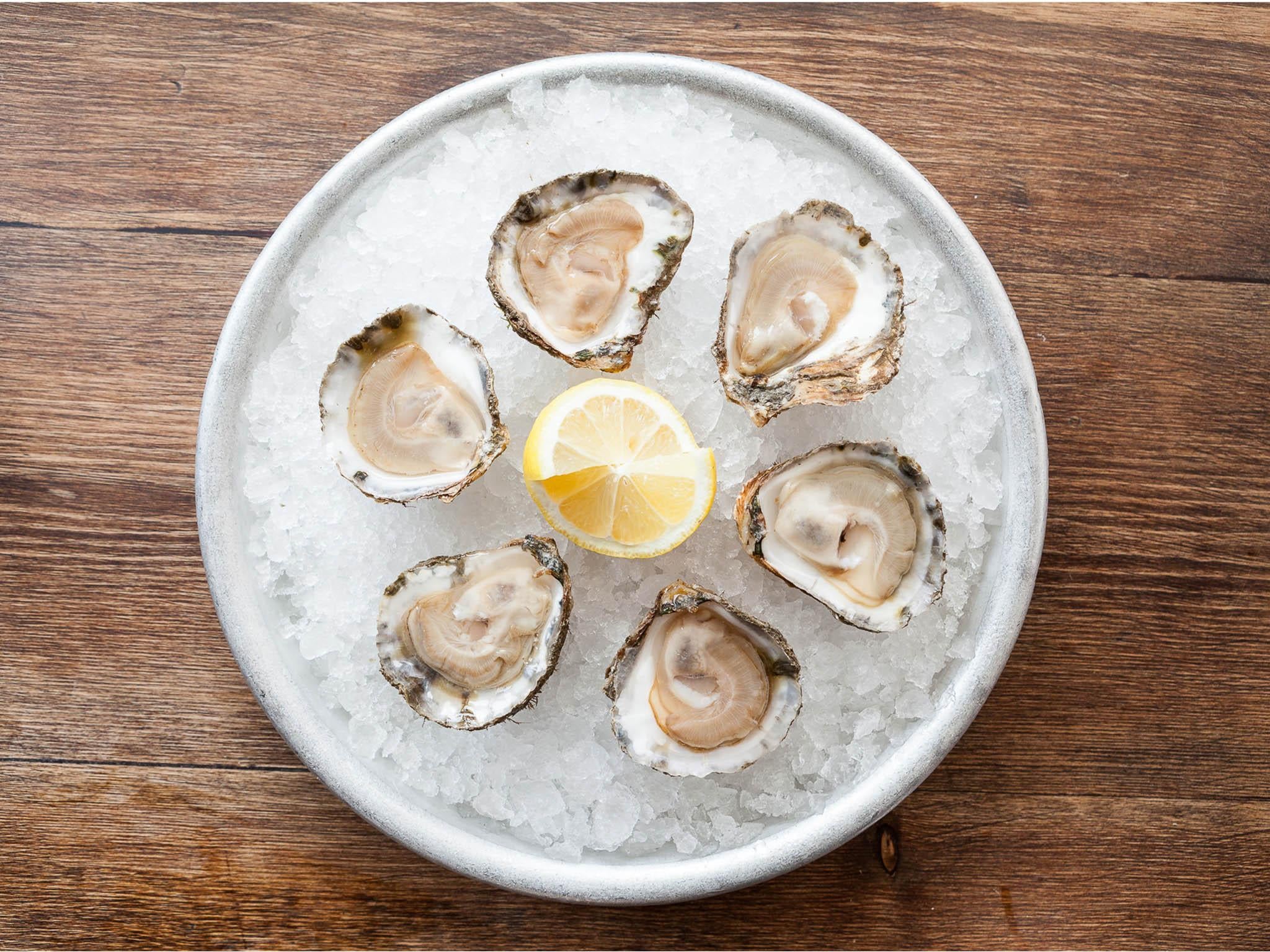 Native oysters are flatter and rounder and are harvested from April onwards