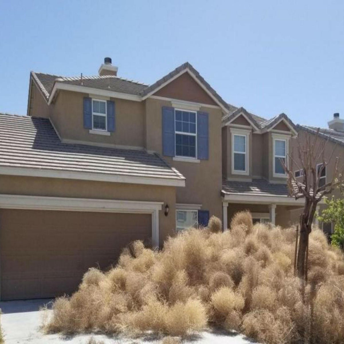 Volkswagen-sized tumbleweed set to take over Southern California – New York  Daily News