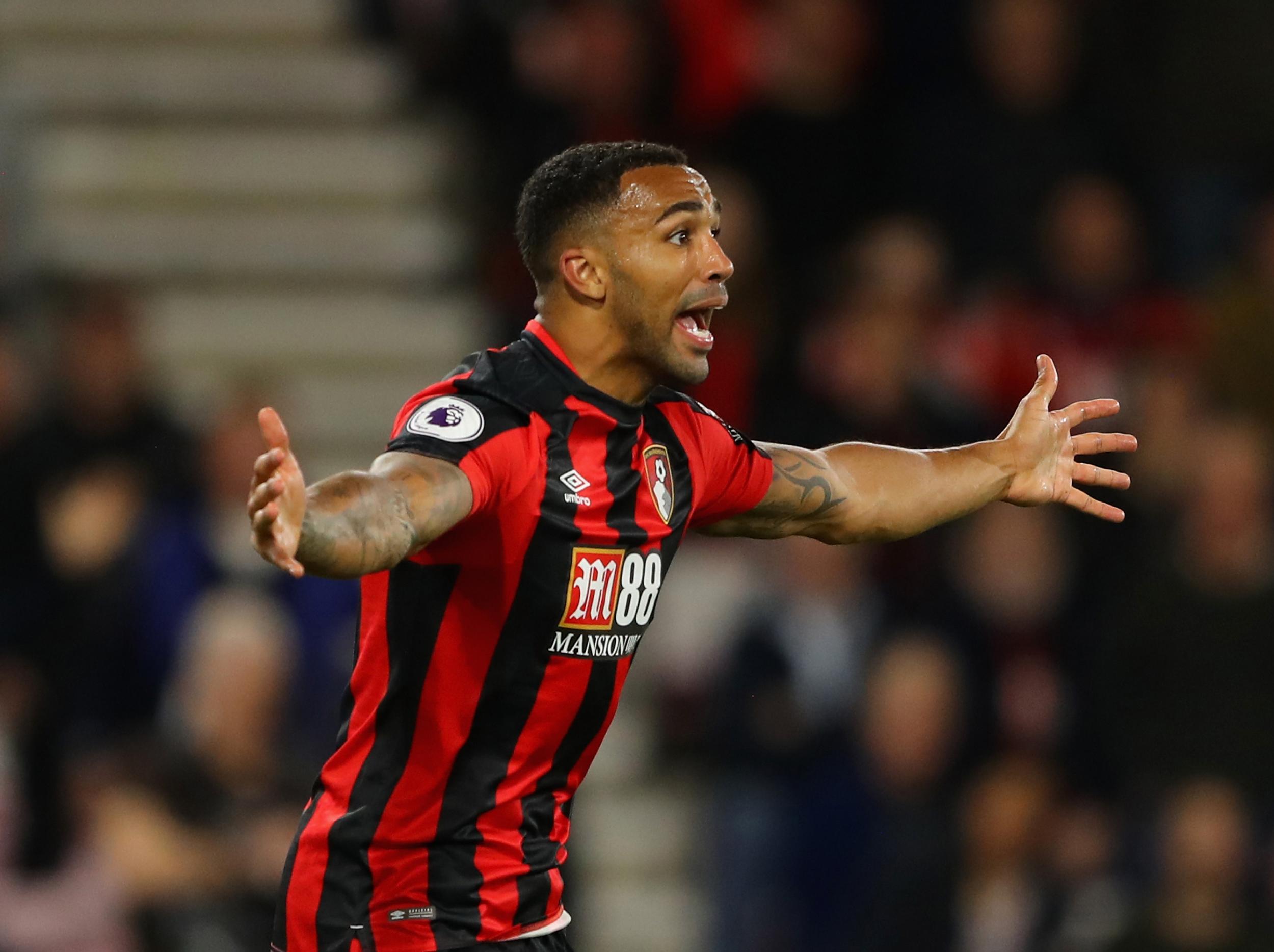 Callum Wilson appeals for a penalty