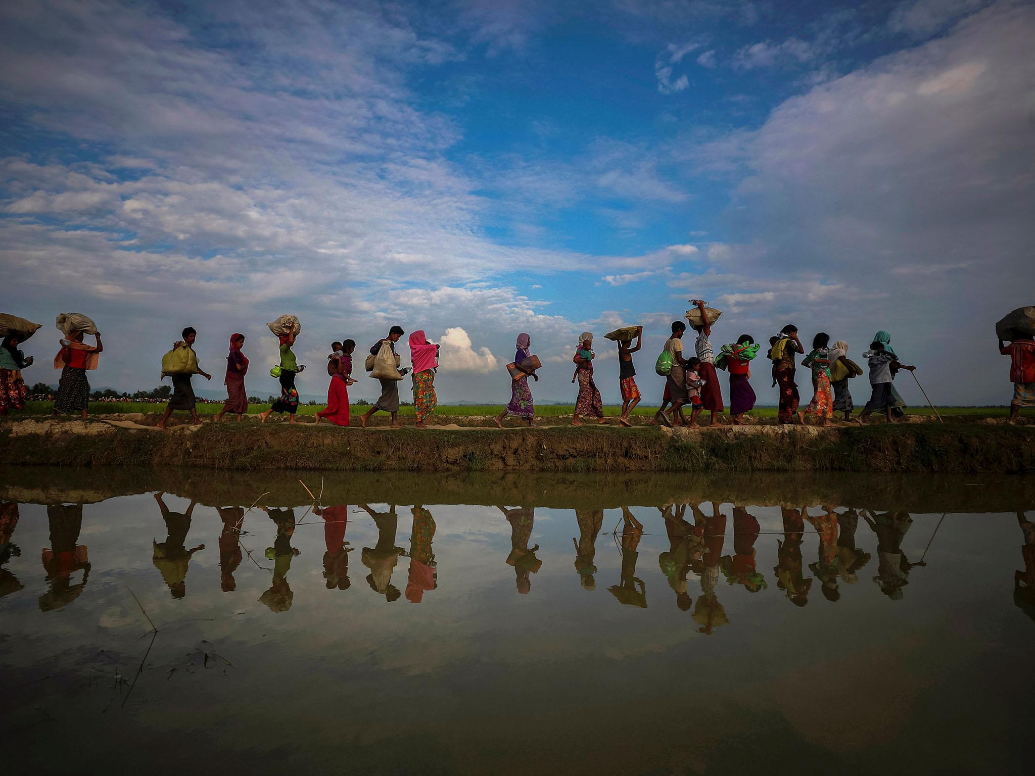 Rohingya refugees are reflected in rain water along an embankment next to paddy fields after fleeing from Myanmar into Palang Khali, near Cox's Bazar, Bangladesh