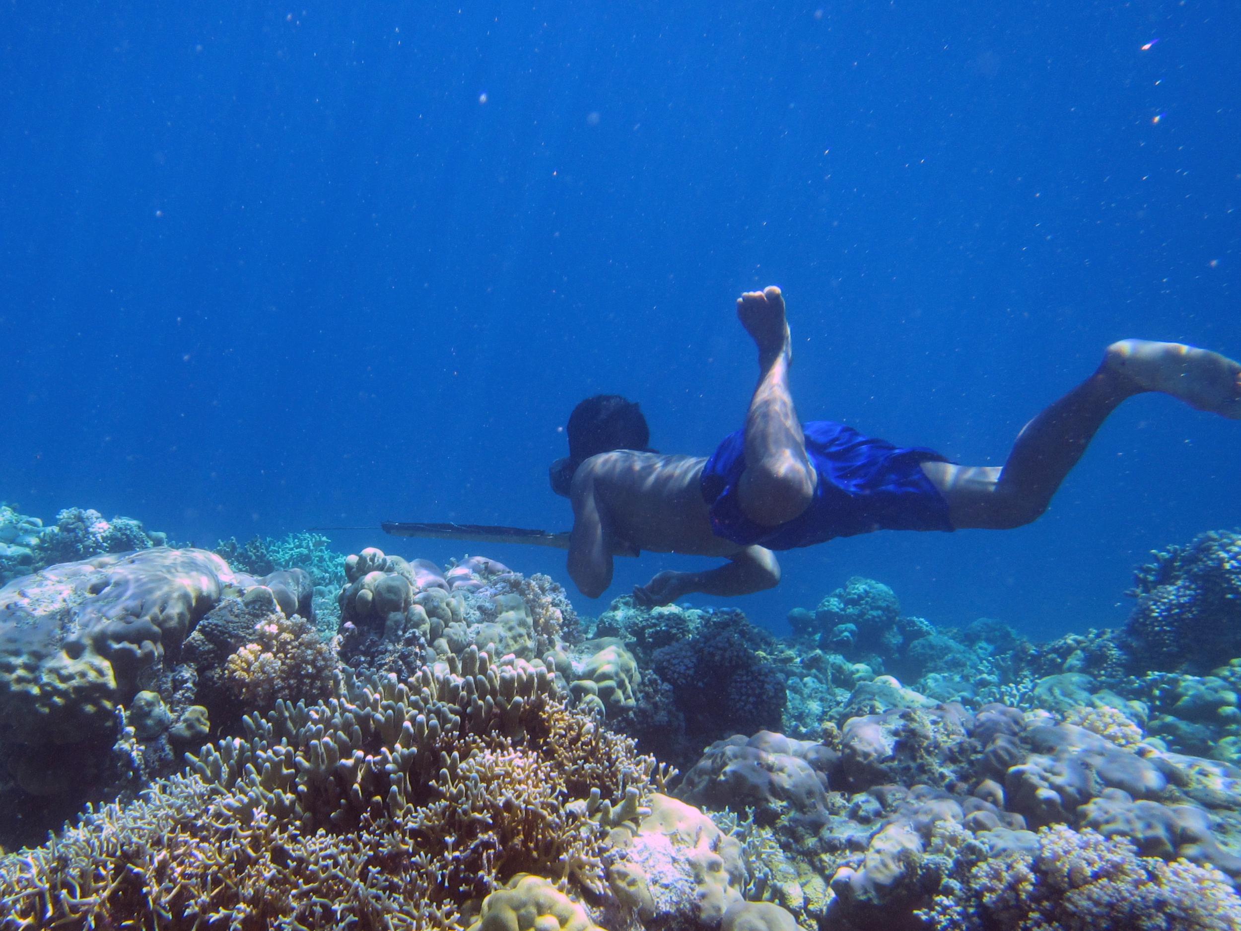 A Bajau diver