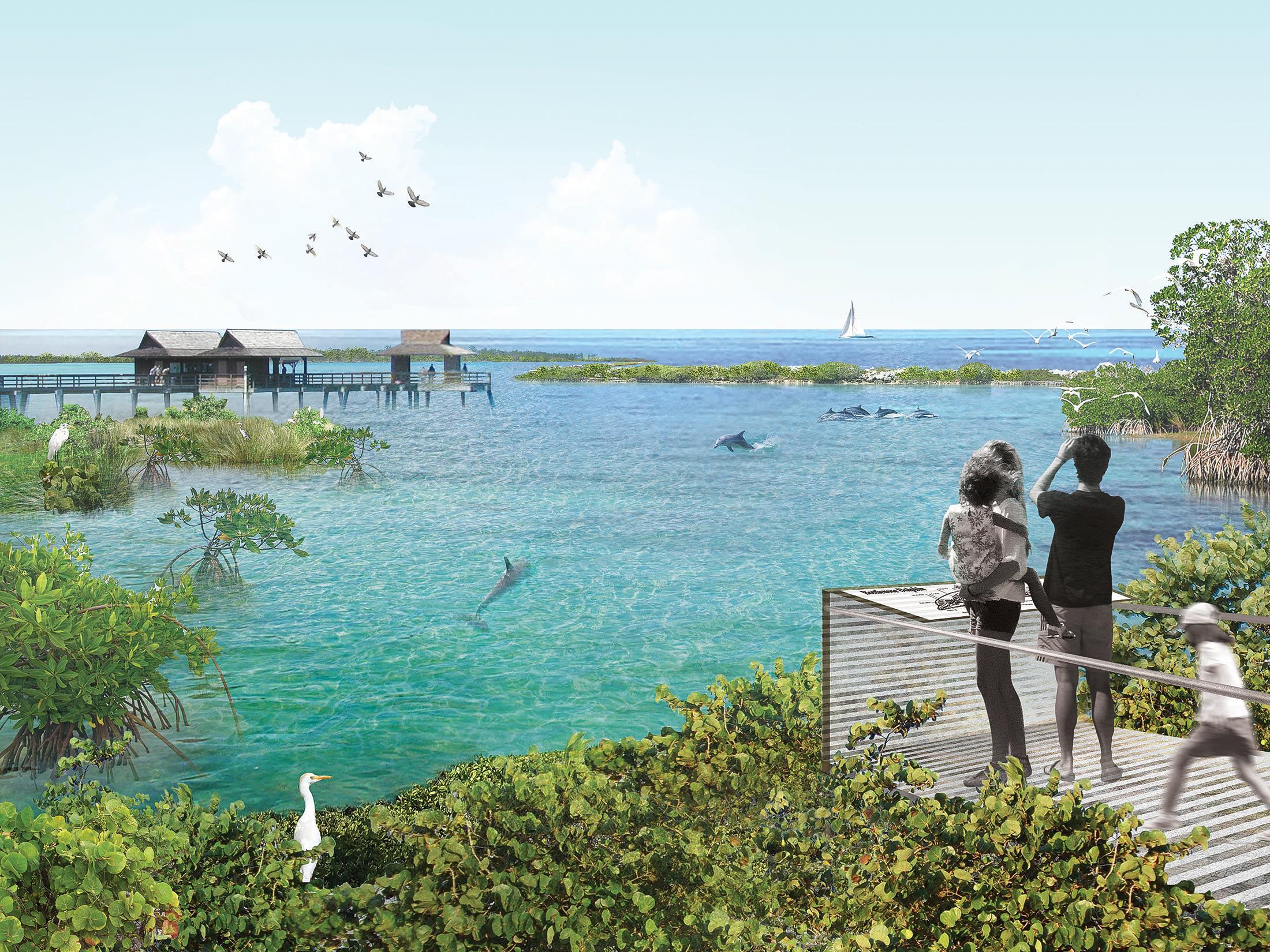 An artistic rendering of the National Aquarium’s Dolphin Sanctuary in Florida