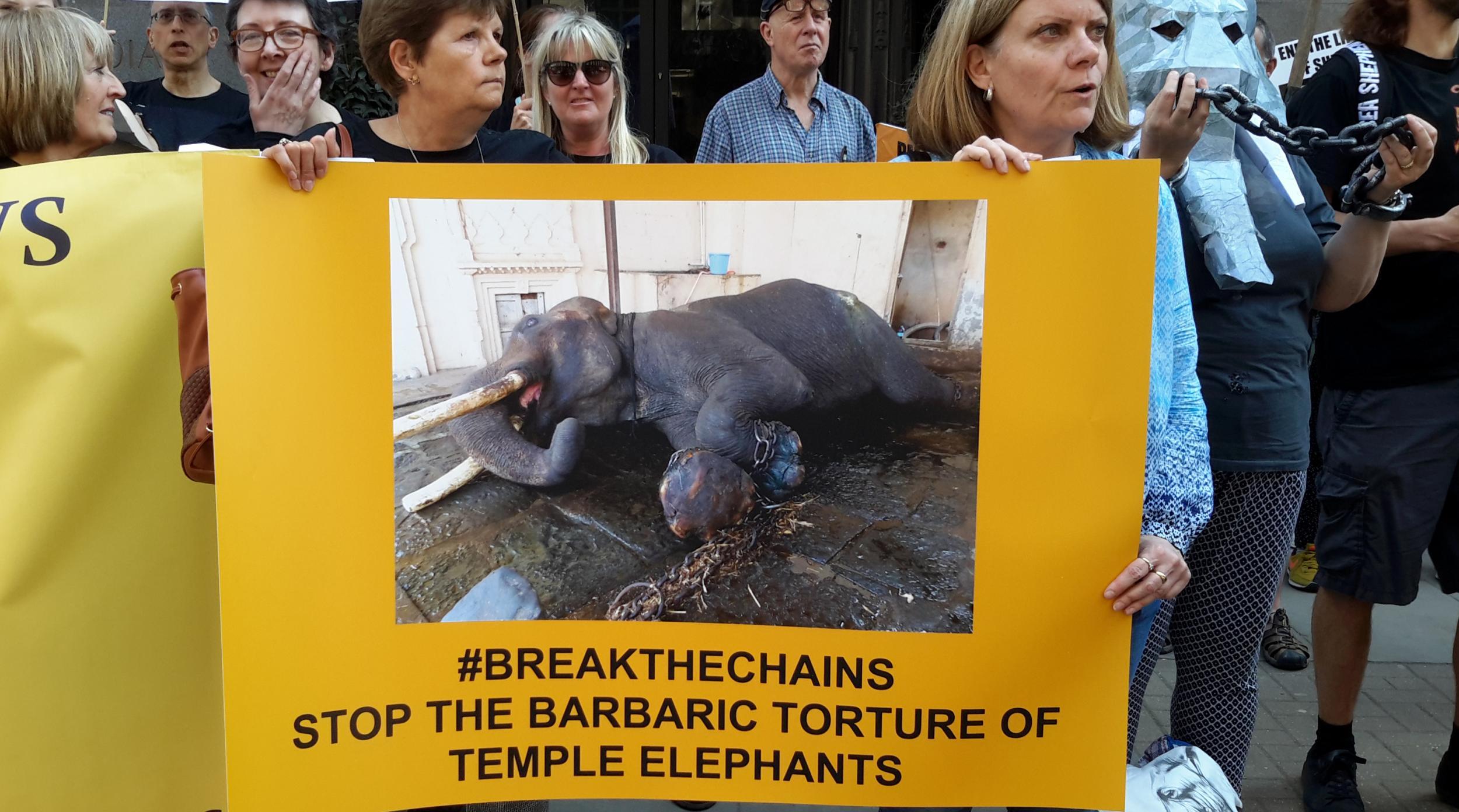 Campaigners held up banners reading #breakthechains at the Indian High Commission