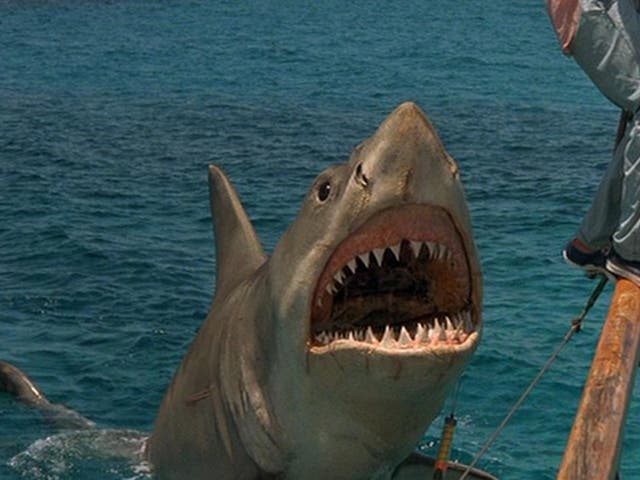 Jaws: The Revenge was 'dumb beyond belief'