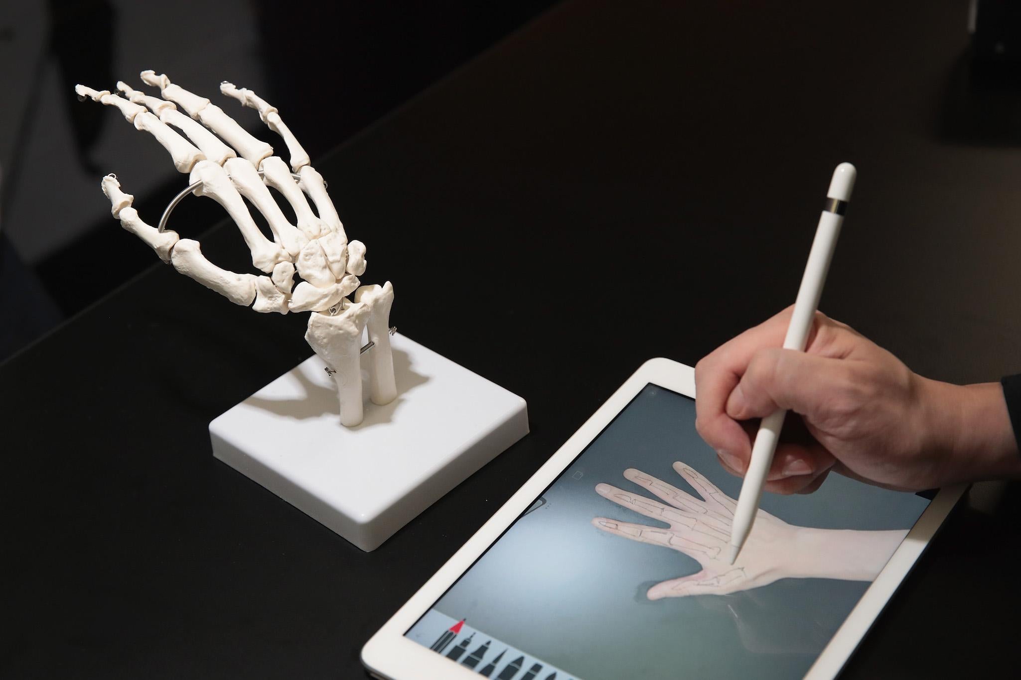 A guest draws the bones of the hand on Apple's new 9.7-inch iPad during an event held to introduce the device at Lane Tech College Prep High School on March 27, 2018 in Chicago, Illinois