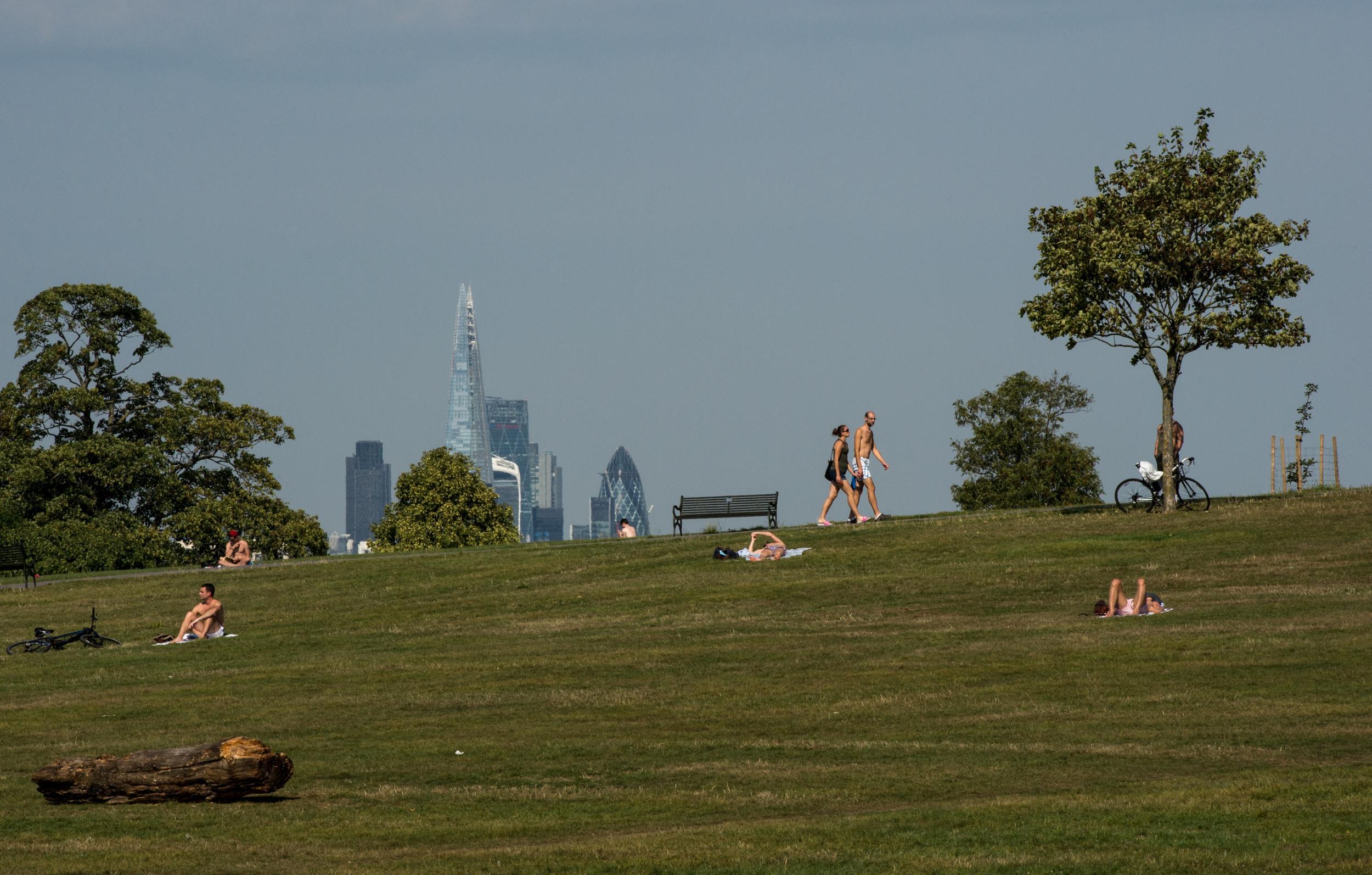 Brockwell Park's location is a prime spot for accessibility in the eyes of promoters