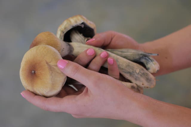 Magic mushrooms have been reported to help with conditions including anxiety and depression