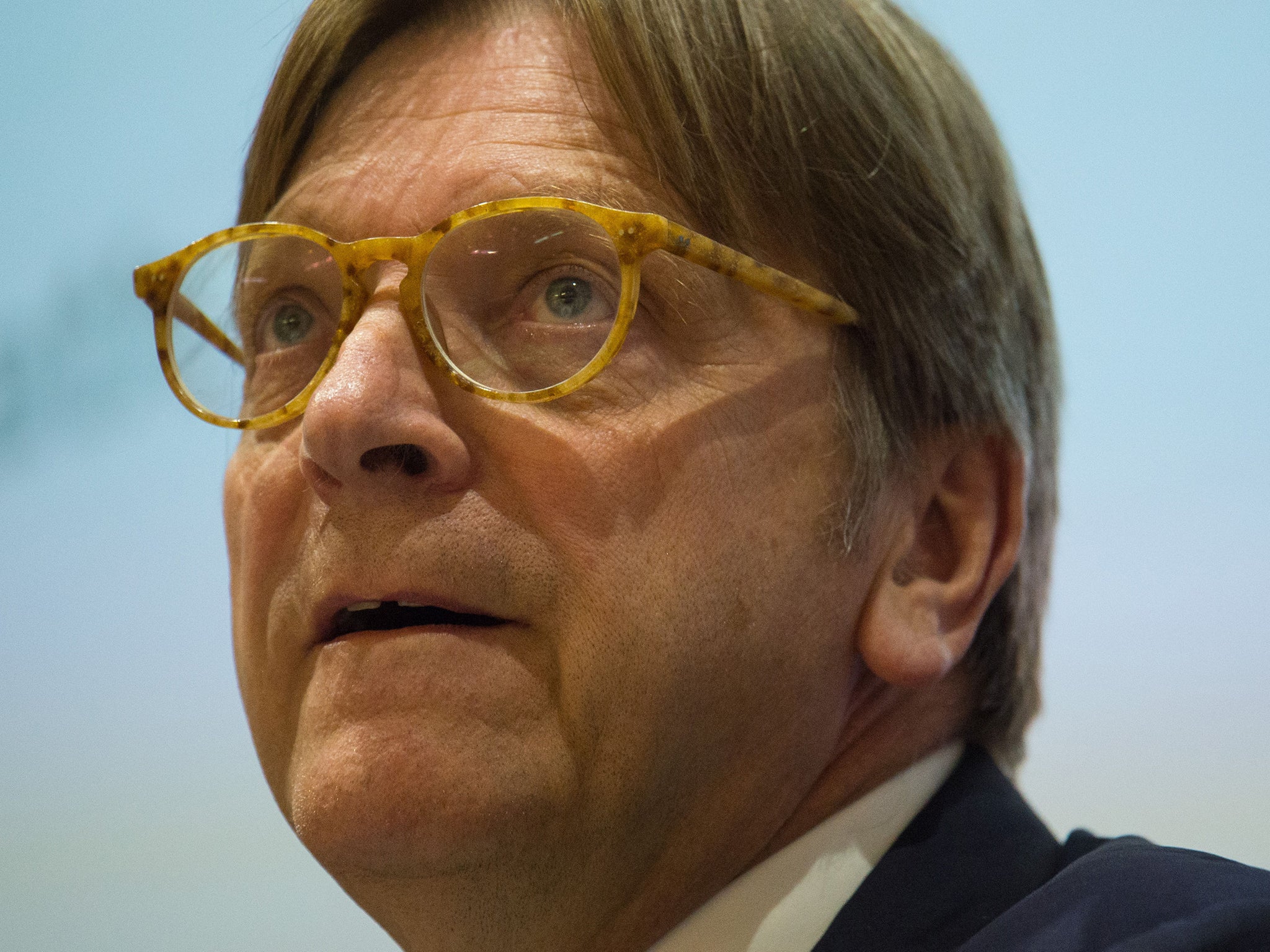 European Parliament Brexit co-ordinator Guy Verhofstadt