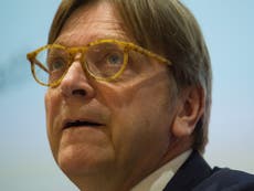 Guy Verhofstadt brands Tory Brexiteer ‘insane’ for ‘treason’ comments