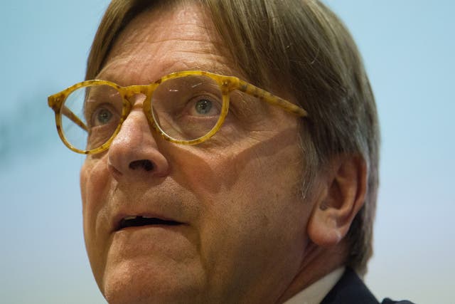 European Parliament Brexit co-ordinator Guy Verhofstadt