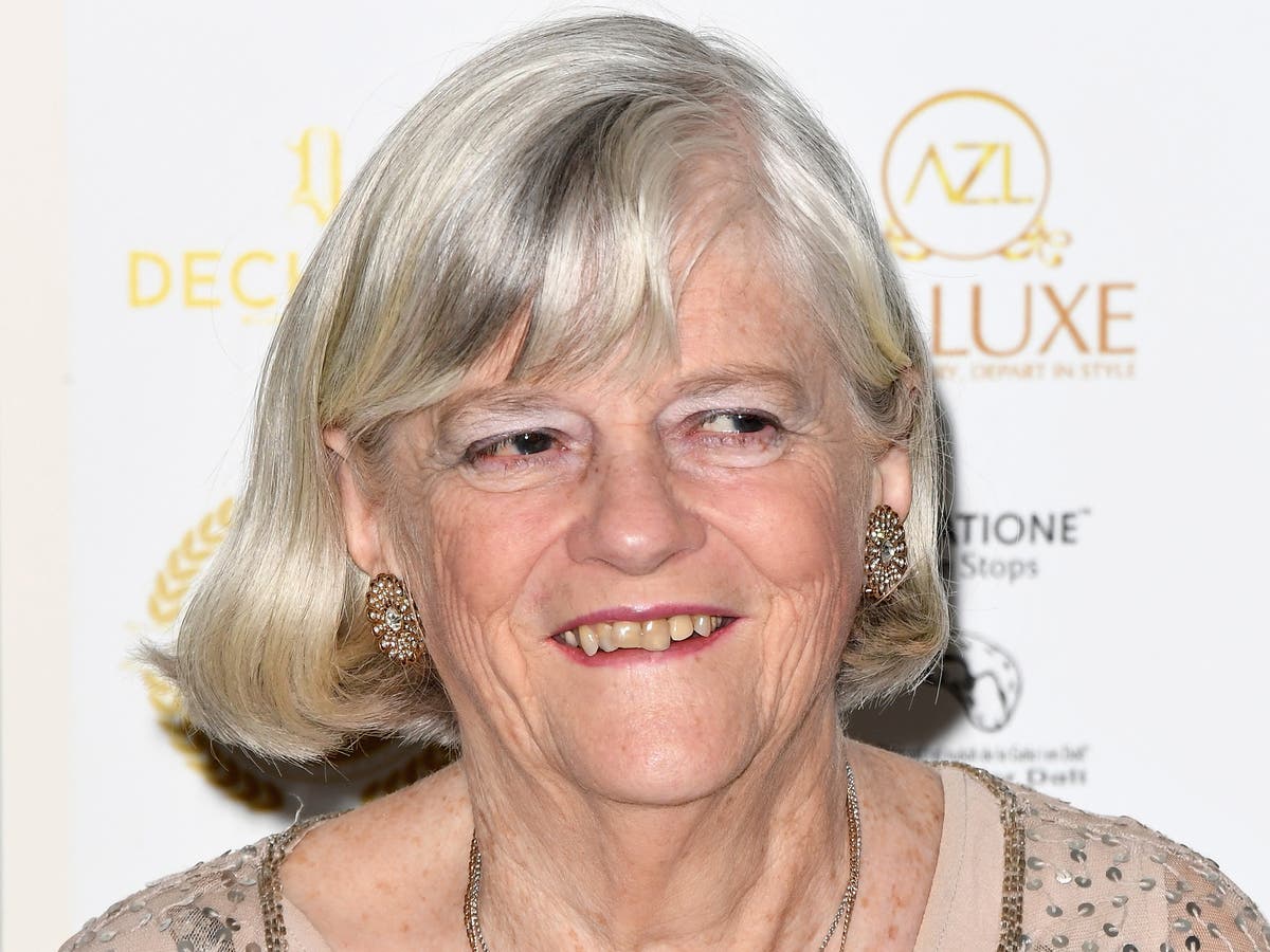 Ann Widdecombe Attacks Campaigner Over Womens Pensions Age Criticism The Independent The