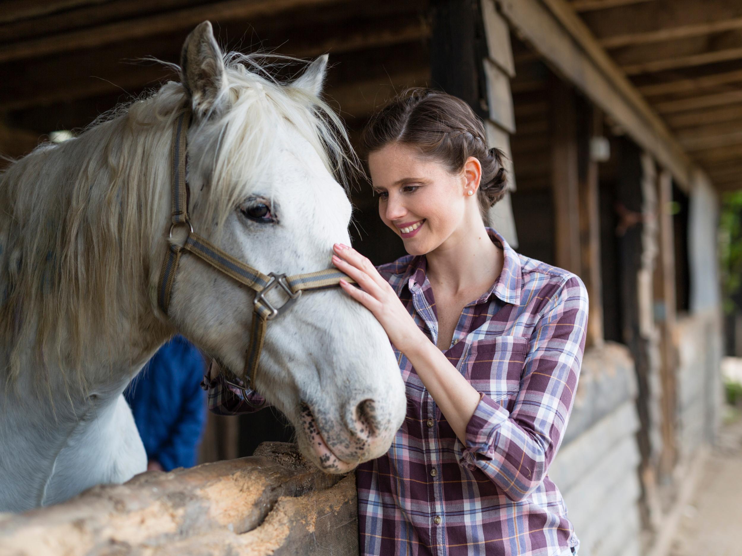 Horses respond better to people they have previously seen smiling, a study has suggested