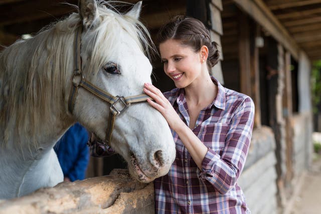 Horses respond better to people they have previously seen smiling, a study has suggested