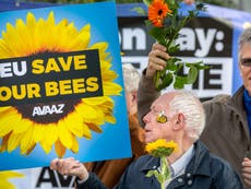EU votes to ban bee-harming pesticides