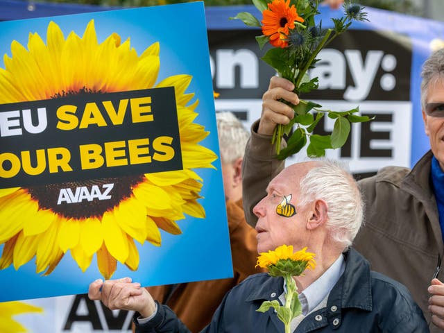 Campaigners gathered to call for EU member states to vote to ban harmful pesticides