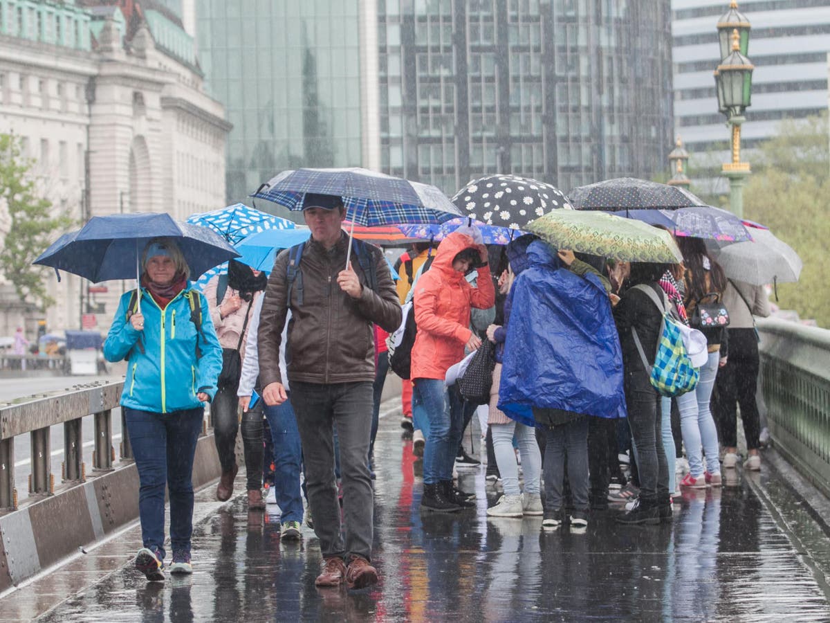 Сегодня погода дождик. Дождливая Швеция. Любитель дождя. Weather in London.