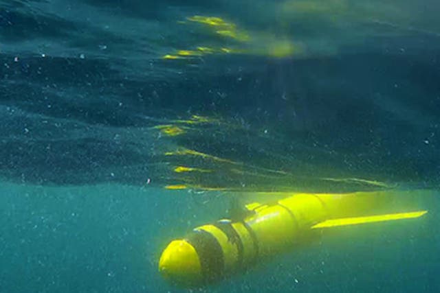 A Seaglider robot explores the 'dead zone' in the Gulf of Oman
