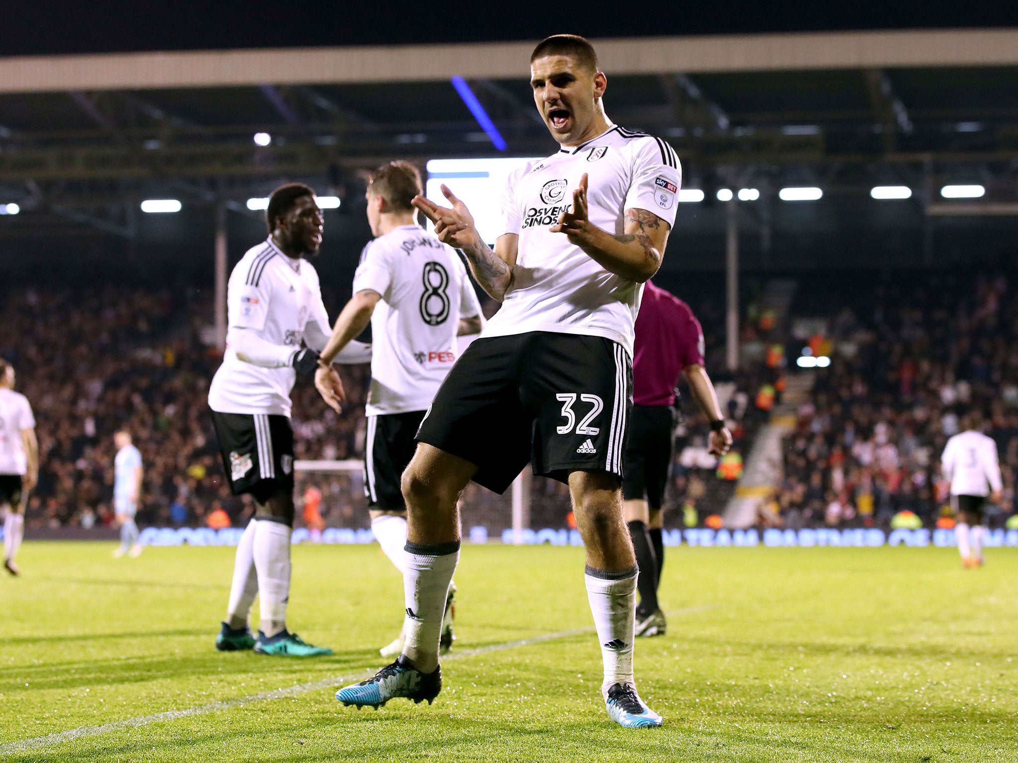 Fulham take automatic promotion fight to the wire after victory over Sunderland