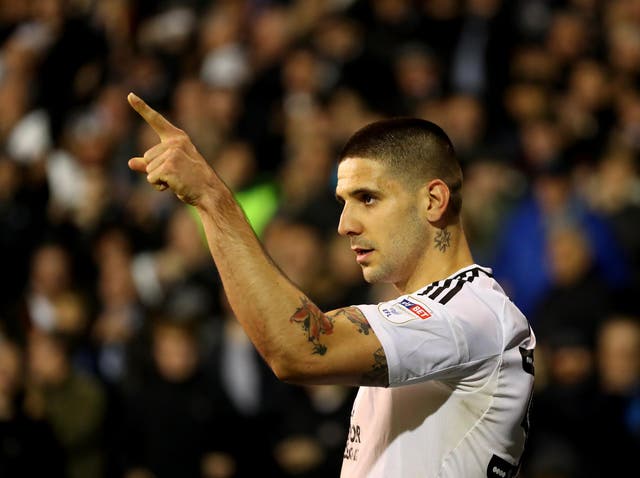 Aleksandar Mitrovic believes Fulham have earned a step up
