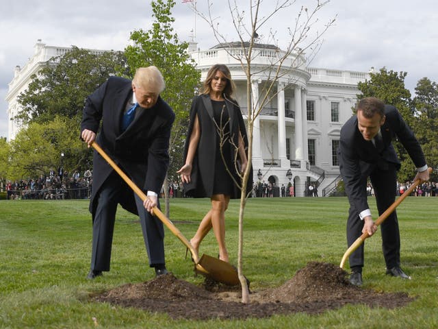 Donald Trump and Emmanuel Macron plant a tree watched by the US first lady Melania