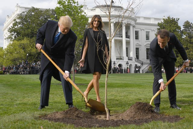 Donald Trump and Emmanuel Macron plant a tree watched by the US first lady Melania